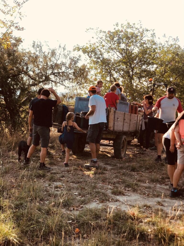 Adultes et enfants pendant les vendanges du domaine Les Garidelles